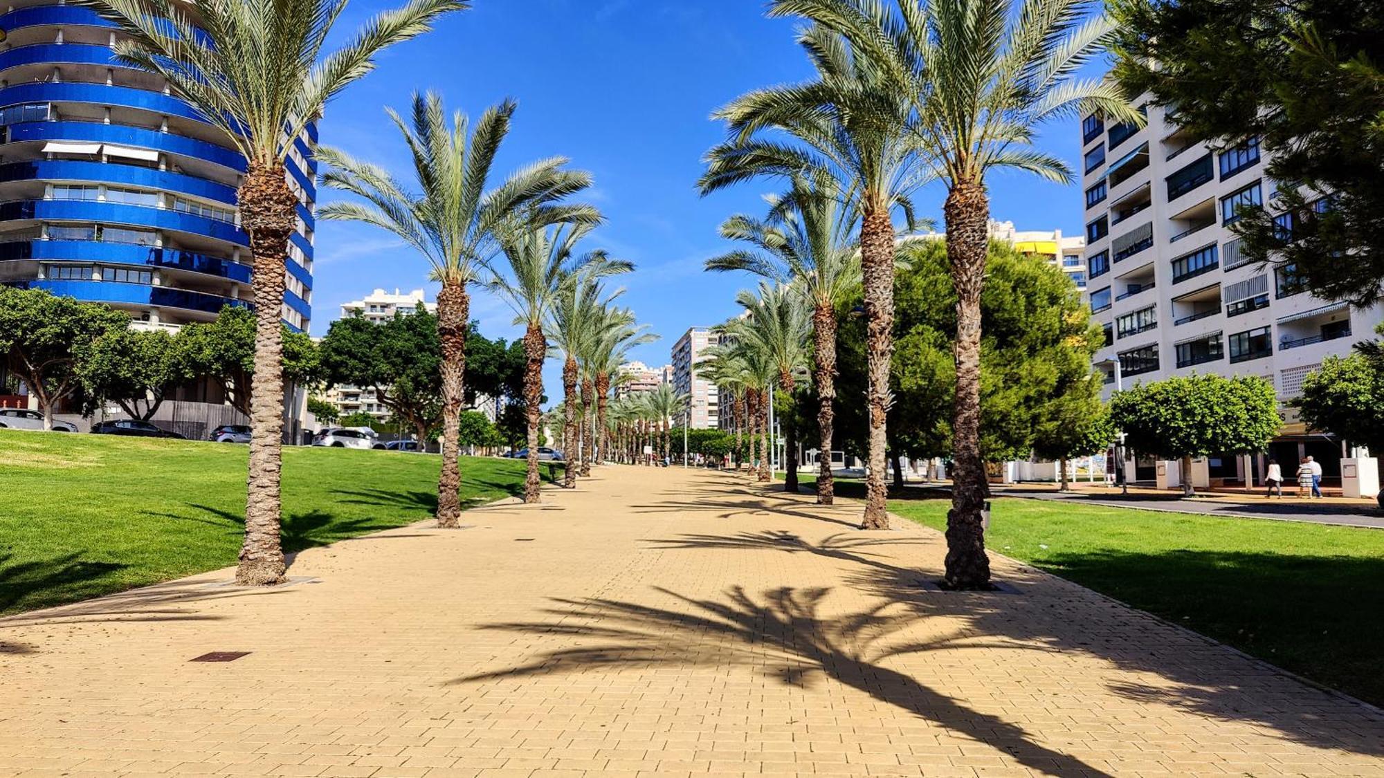 Cala Alta Relax Apartment Benidorm Eksteriør bilde
